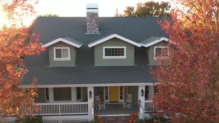 Best Hot Roofs  in North Branch, MI