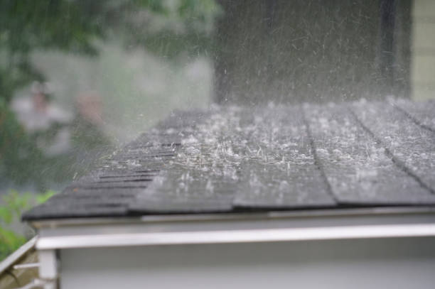 Best Gutter Installation and Repair  in North Branch, MI