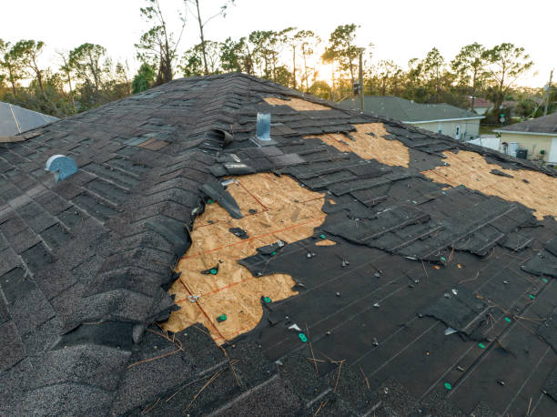 Best Roof Leak Repair  in North Branch, MI