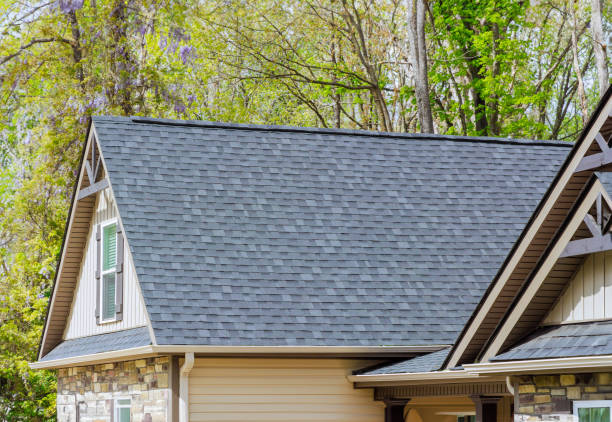 Best Asphalt Shingles Roofing  in North Branch, MI