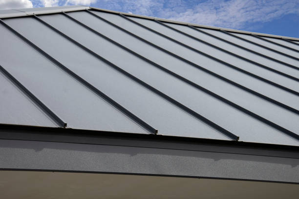 Best Chimney Flashing Repair  in North Branch, MI